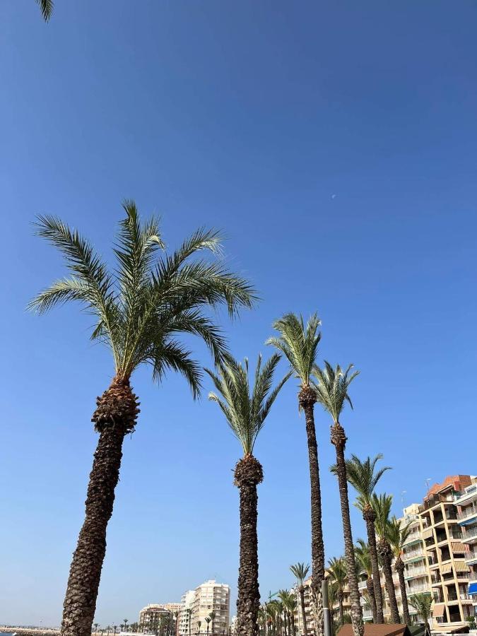 Uroczy Apartament Przy Playa De Los Locos 또레비에하 외부 사진